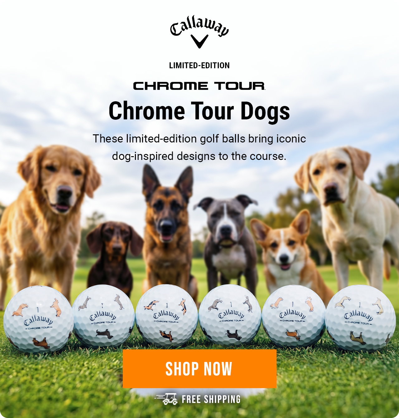Callaway Limited Edition Chrome Tour Dogs