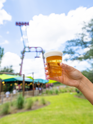 A 7 oz. Free Beer at Busch Gardens