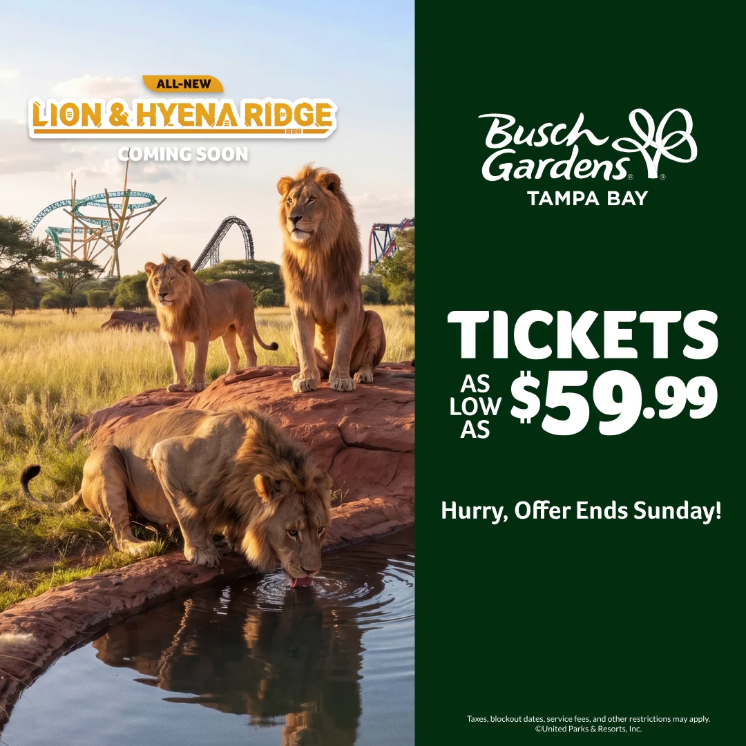 Busch Gardens Tampa Bay. Tickets As Low As $59.99. Hurry, Offer Ends Sunday! 