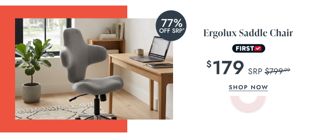Ergolux Saddle Chair