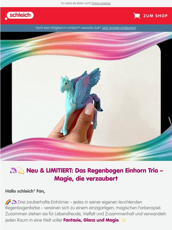 🌈✨ NEU: Das Regenbogen Einhorn Set