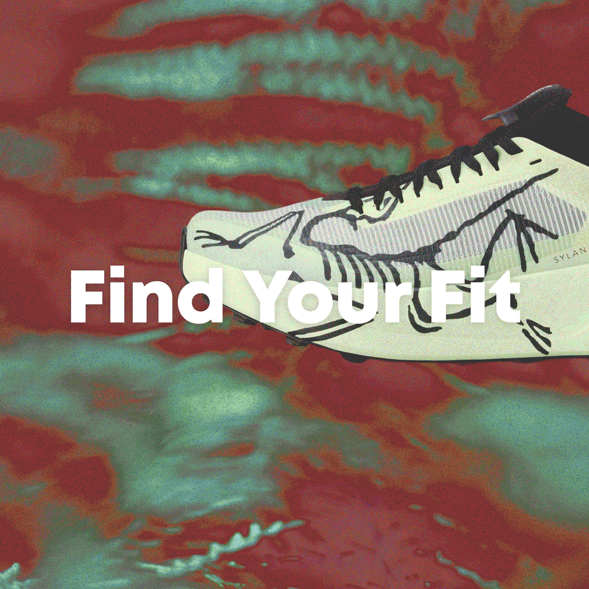 Find Your Fit 
