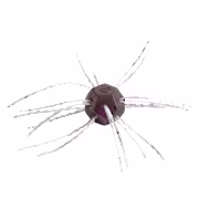 Strike King Salted Tumbleweed - Grape Whiskey - 3
