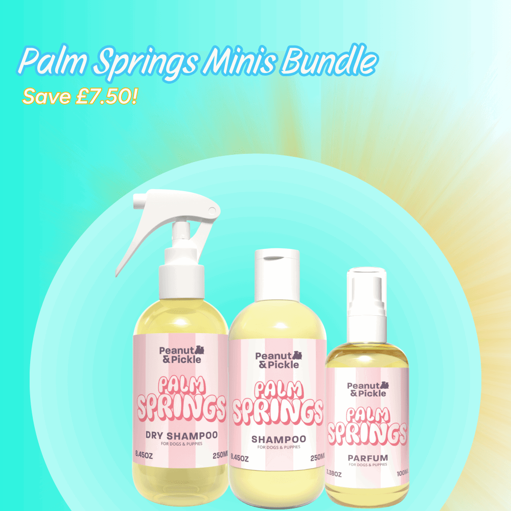 Image of Peanut & Pickle Palm Springs Minis Bundle