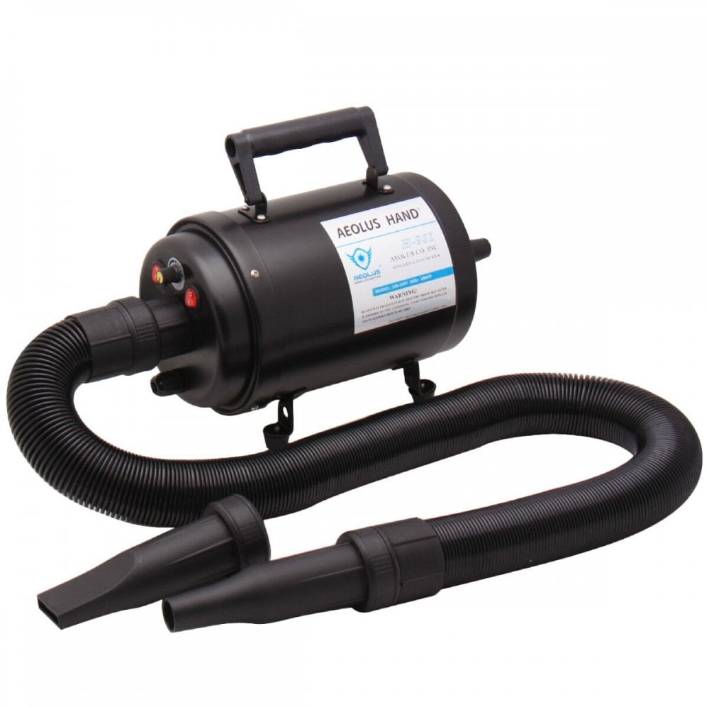 Image of Aeolus Cyclone Blaster Dryer 