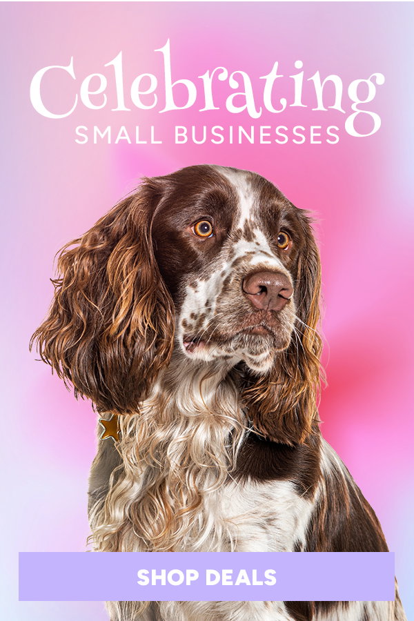 Celebrating Small businesses