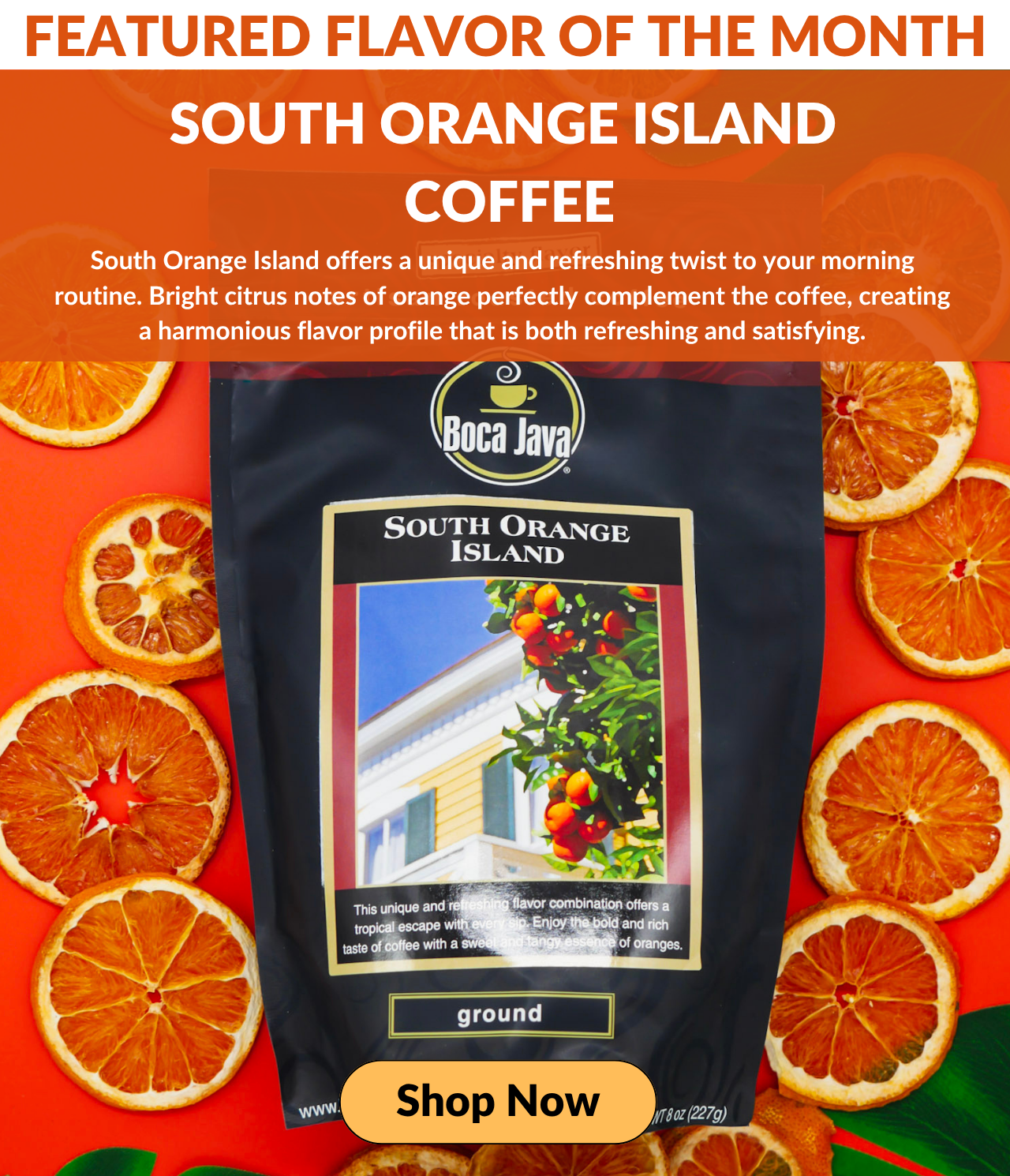 South Orange Island Coffee