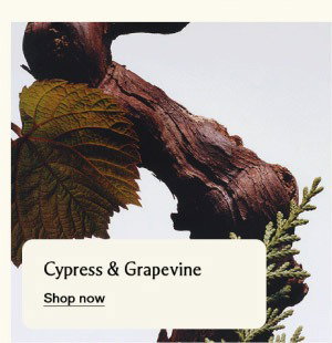 Cypress & Grapevine