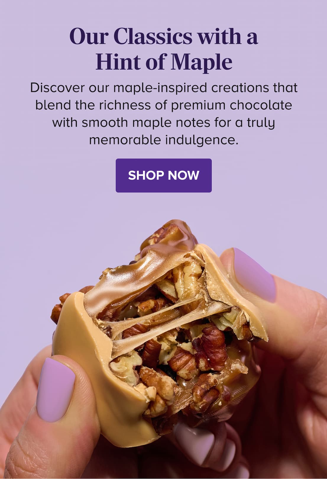 Our Classics with a Hint of Maple SHOP NOW