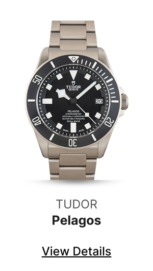 Factory Stickered Titanium Tudor Pelagos 25600TN Black Dial