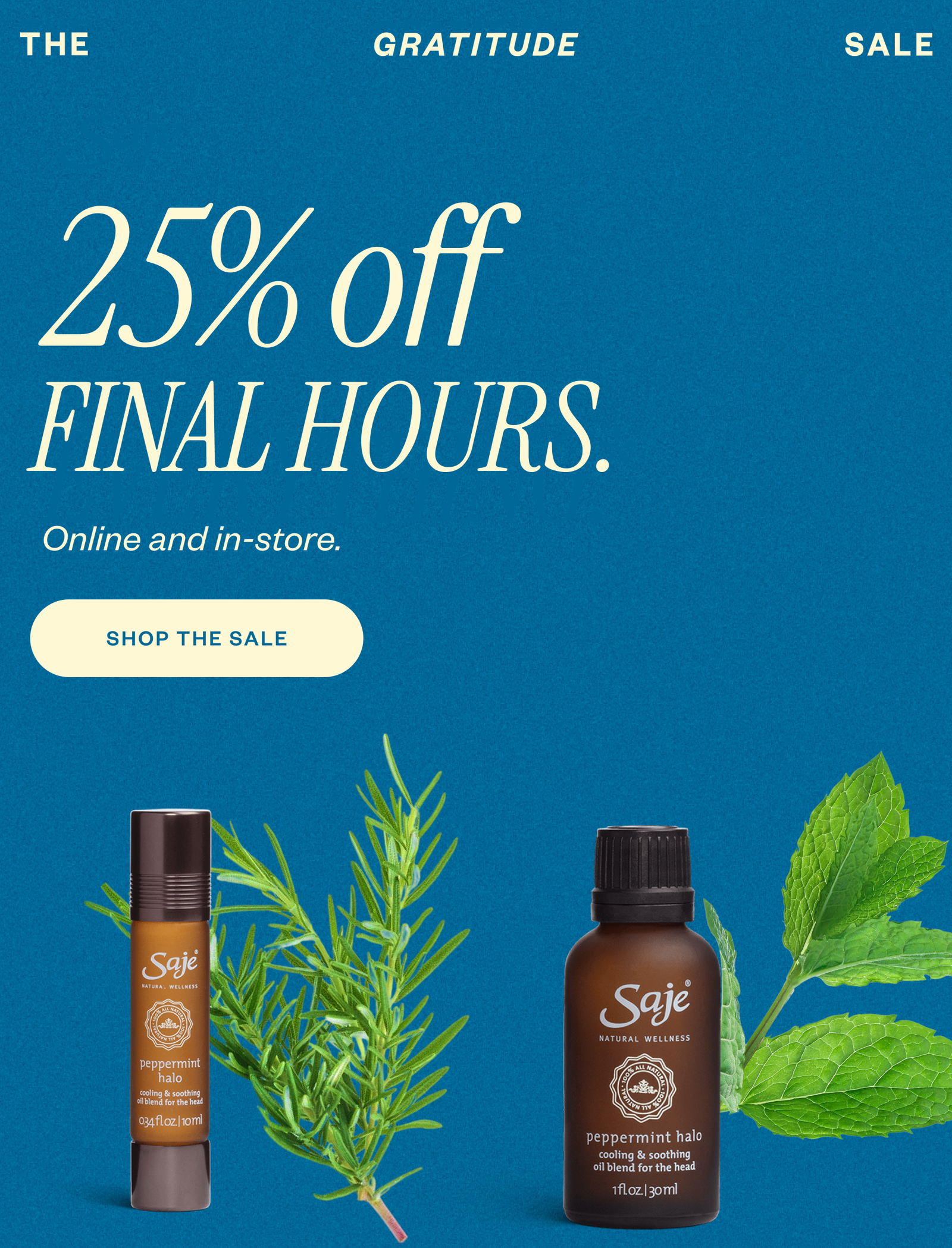 25% off. Final hours. 