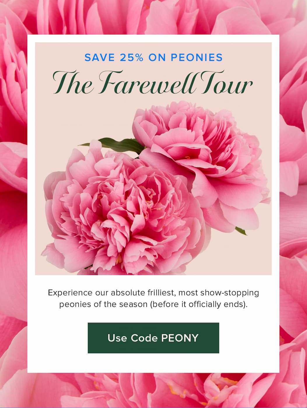 The Farewell Tour: Save 25% on Peonies! Experience our absolute frilliest, most show-stopping peonies of the season (before it officially ends). Use code PEONY