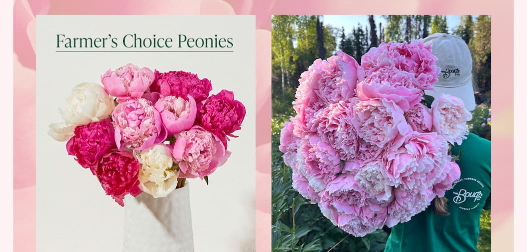 Farmer's Choice Peonies