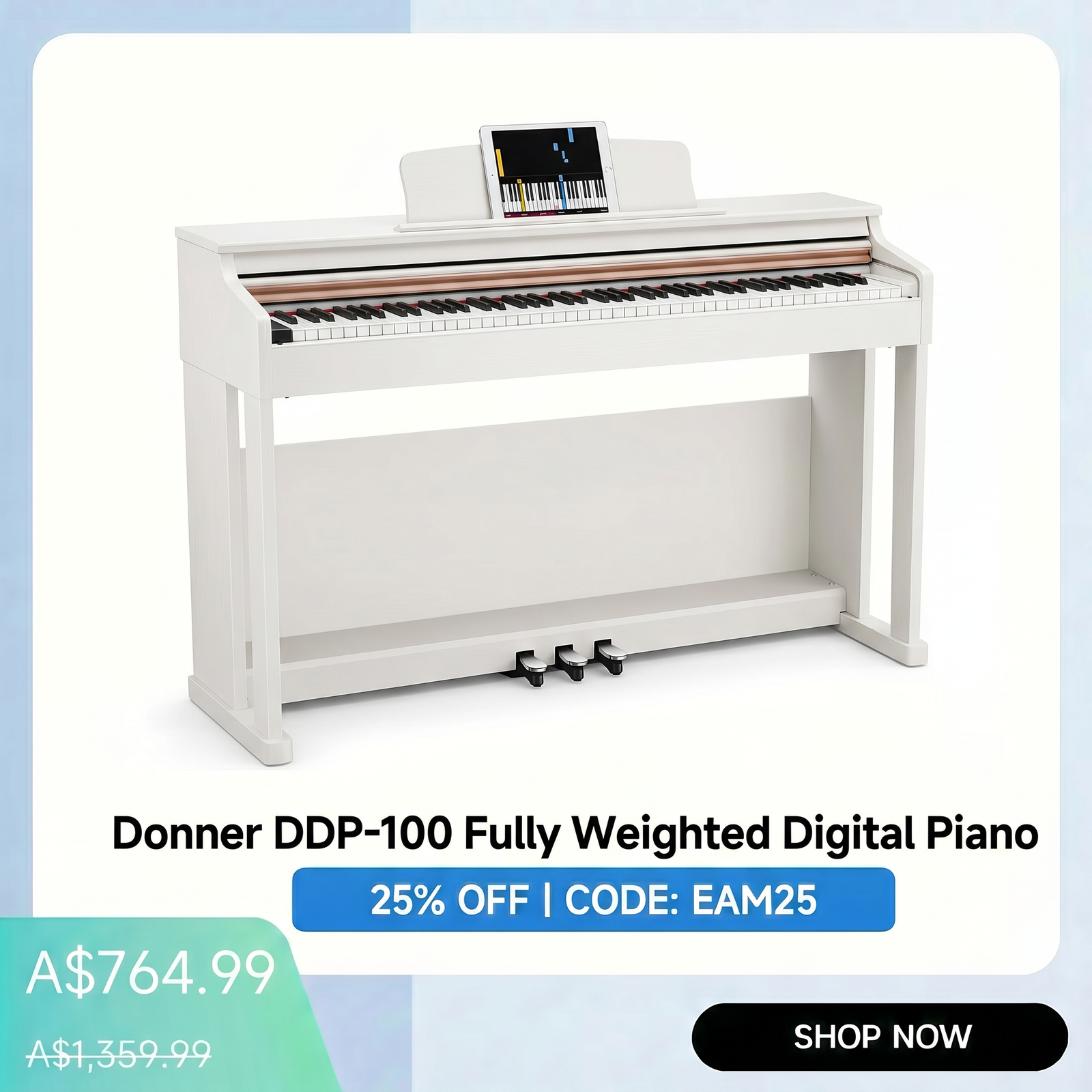 Donner DDP-100 Faully Weighted Digital Piano