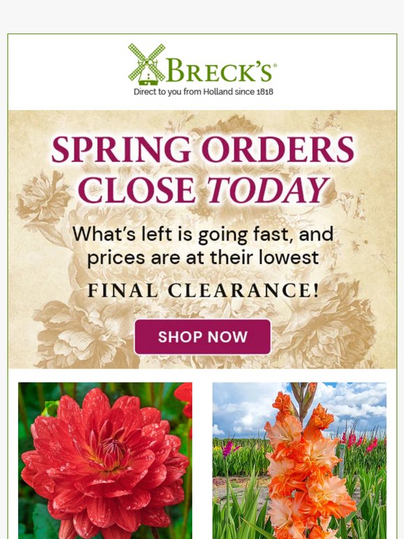 Last Day to Order Spring Items—Don't Miss This Chance