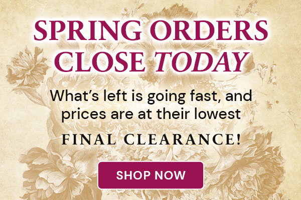 Flash Sale! Free Shipping on $75+ Sale Category