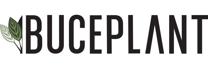 Buce Plant Logo