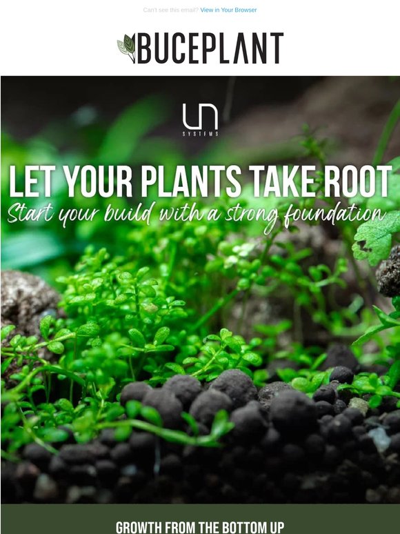 Dig Into Better Substrate + Explore Fresh Plants 😎