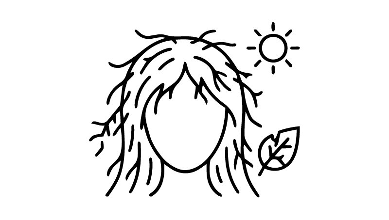 Dry Hair