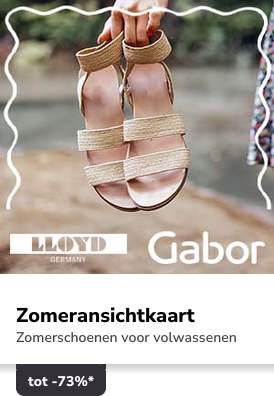 Campaign 2