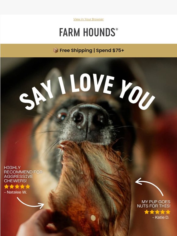 Your dog's new favorite obsession 🐄