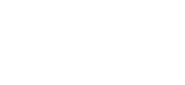 bloomandwild.com