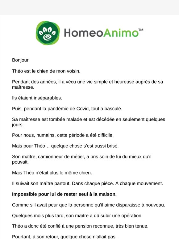 Théo n’était plus le même chien