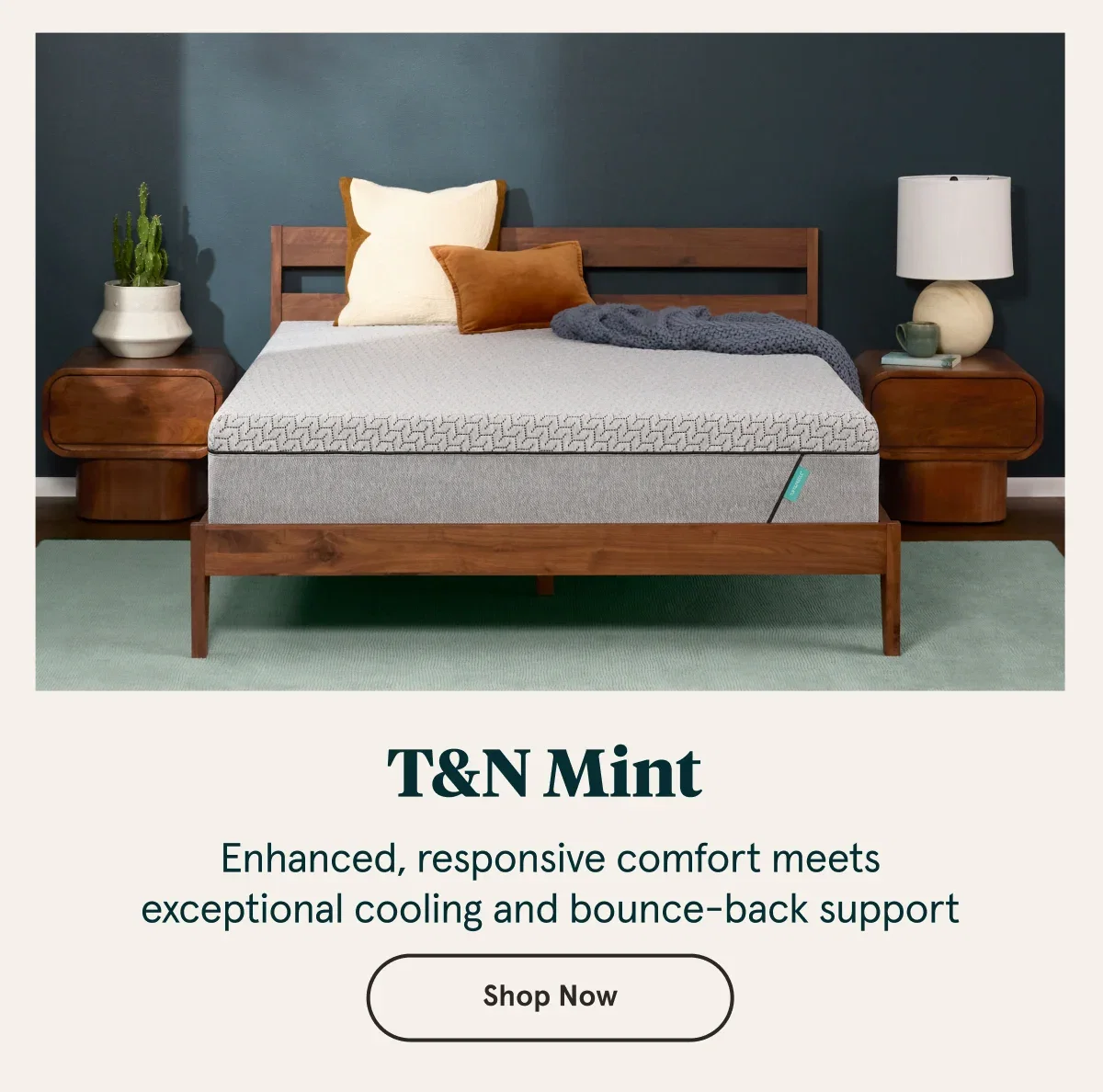 T&N Mint  | Shop Now
