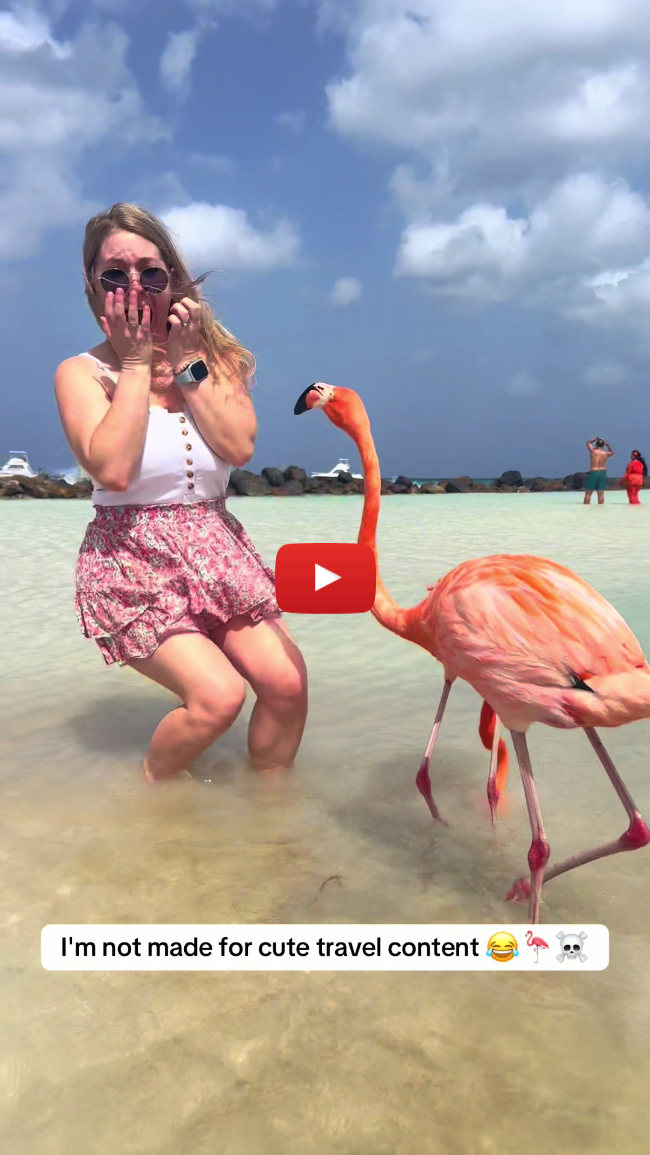 Instagram 🦩 vs Reality ☠️ 📍 Flamingo Beach - Aruba ✌🏼 out renaissance island. 🤣 I'm not made for cute travel content it seems. 🤪😥🫣 #flamingobeach #flamingobeachfail #renaissanceisland #travelcontentfail #flamingo #travelagent #funnyreel #flamingos #aruba #flamingosofinstagram