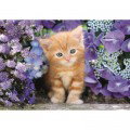 Puzzle DE