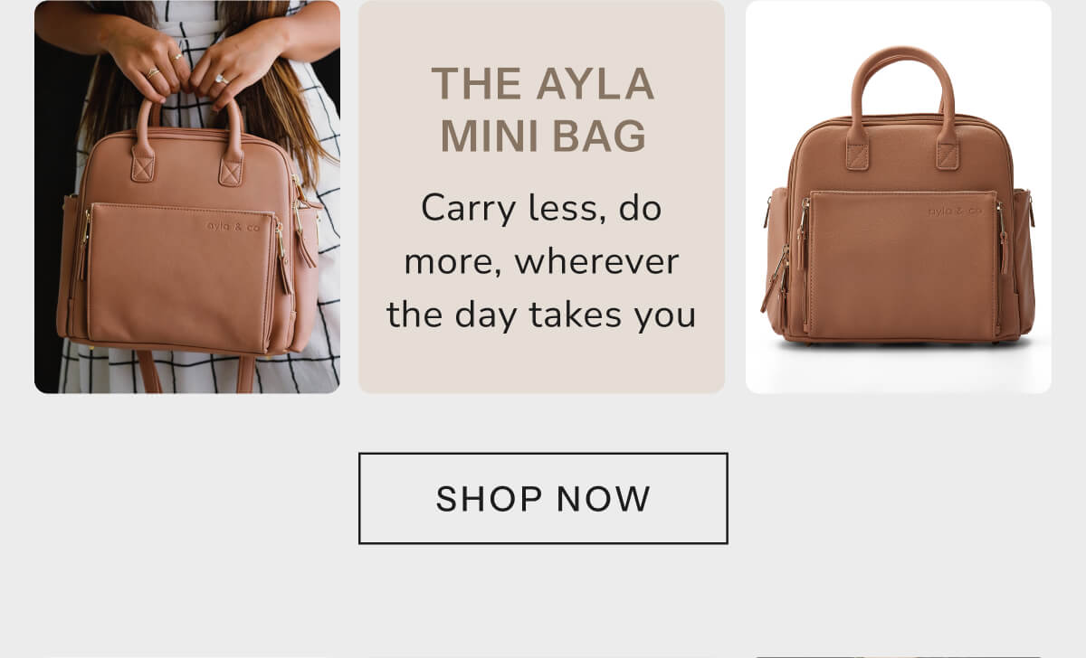 The Ayla Mini Bag