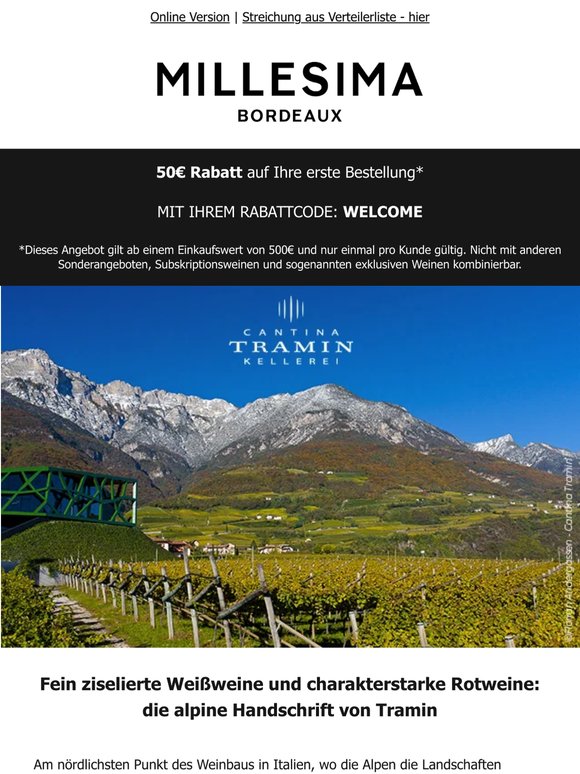 Cantina Tramin: alpine Eleganz im Herzen Italiens