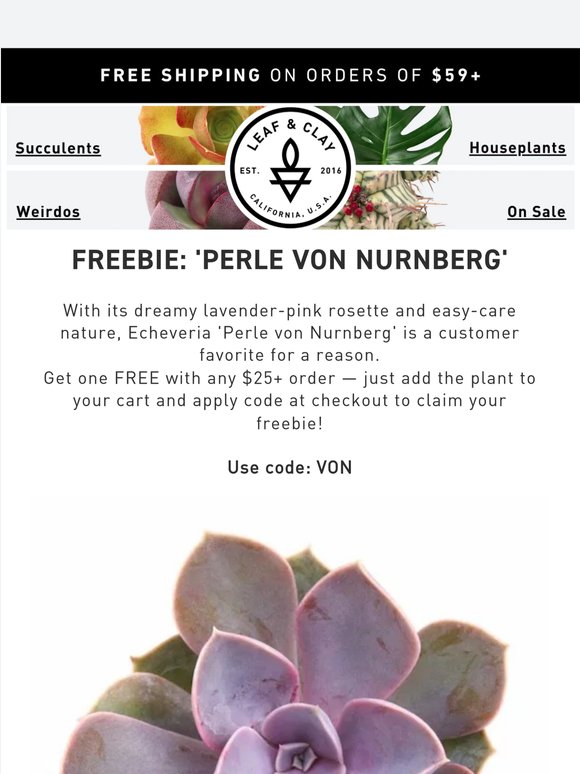 Free Perle von Nurnberg? Yes, Please 💜