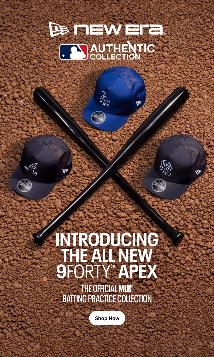 Shop Now