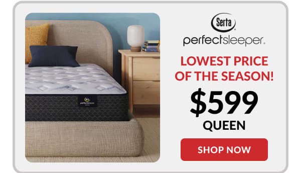 Serta perfect sleeper lowest price of the season