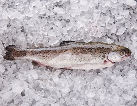 Image of Fangfrische Forelle 300g