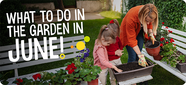 What to do in the garden in June