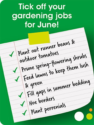 Tick off your gardening jobs for June!
