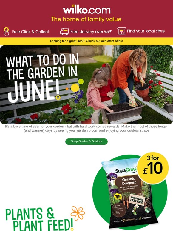 Trowels at the ready - it's your June gardening guide! 🌻