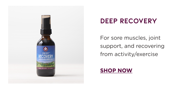 Deep Recovery