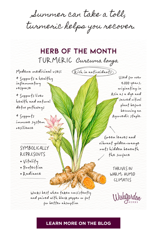 Turmeric Herb of the Month