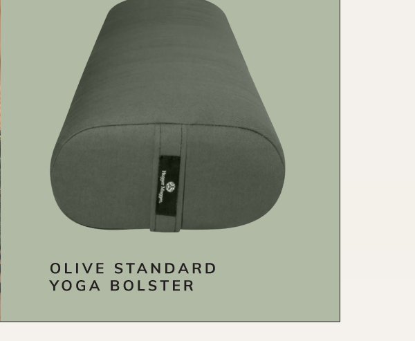 BOLSTER