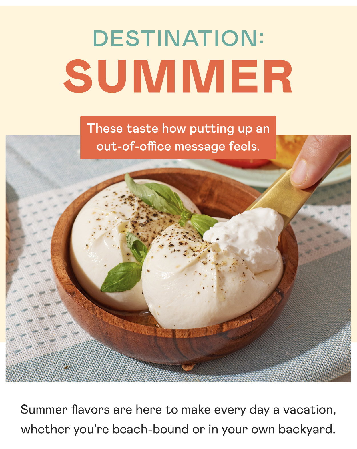 Destination: Summer