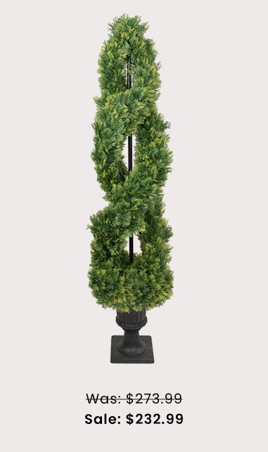 4.5' Cedar Spiral Topiary Tree