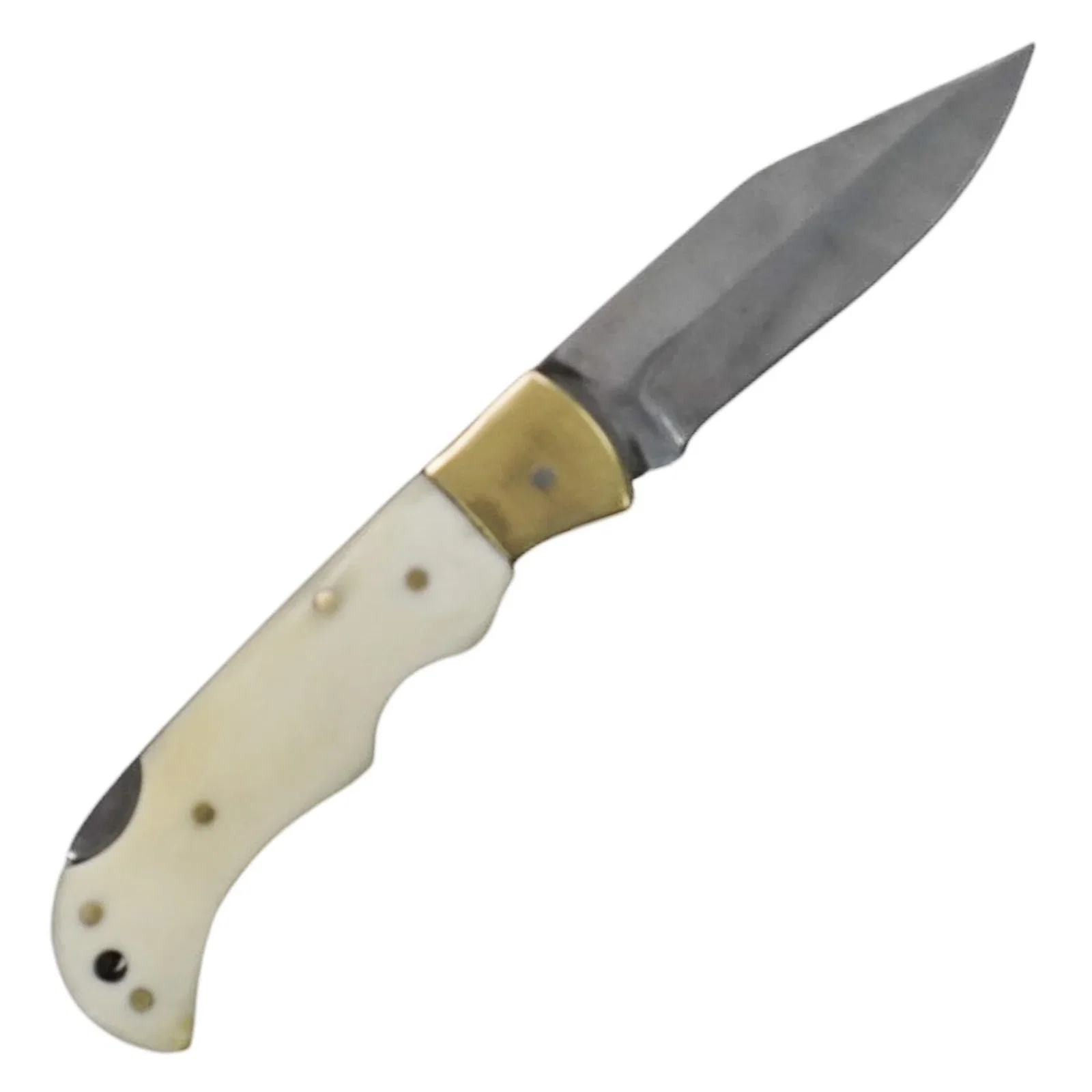 Image of Camel Bone Folding Knife- Stainless Steel- 6.5"