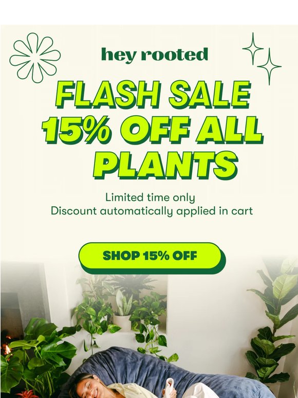 Spontaneous 15% off all plants energy ✨🪴