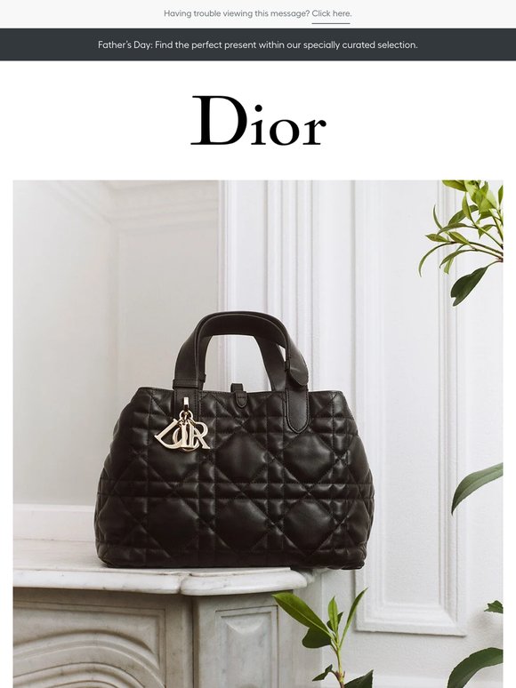 Dior bags: iconic silhouettes and new shapes
