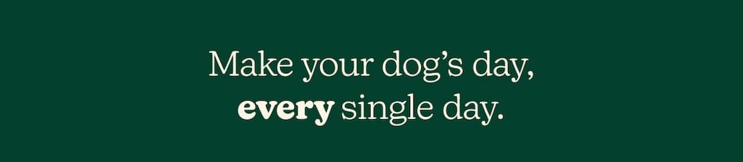 Make your dog's day, every single day.