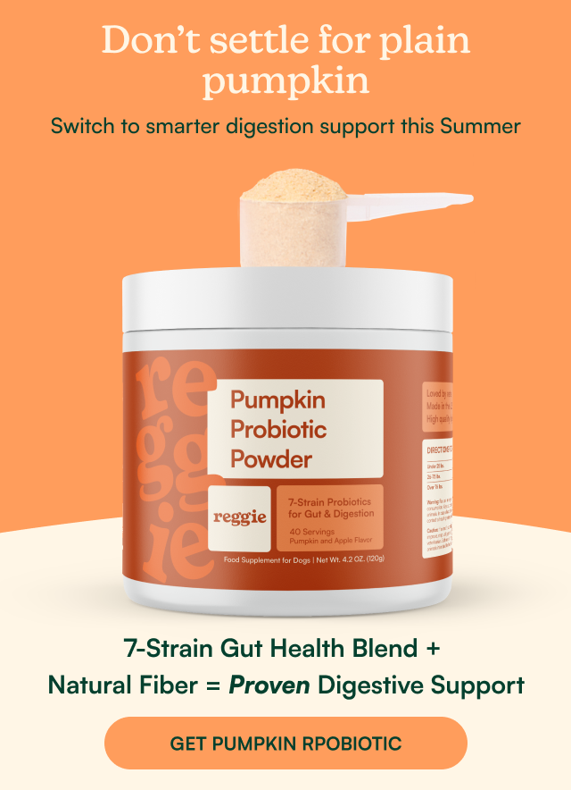 Smarter digestion support for Summer
