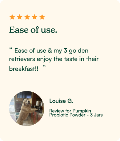 pumpkin probiotic Review